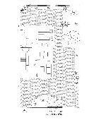 Ampliar - 